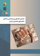 شناسایی خلاء‌های روش‌شناختی و داده‌ای شاخص‌های سالمندی در ایران